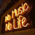 No Music No Life en Neón Flex